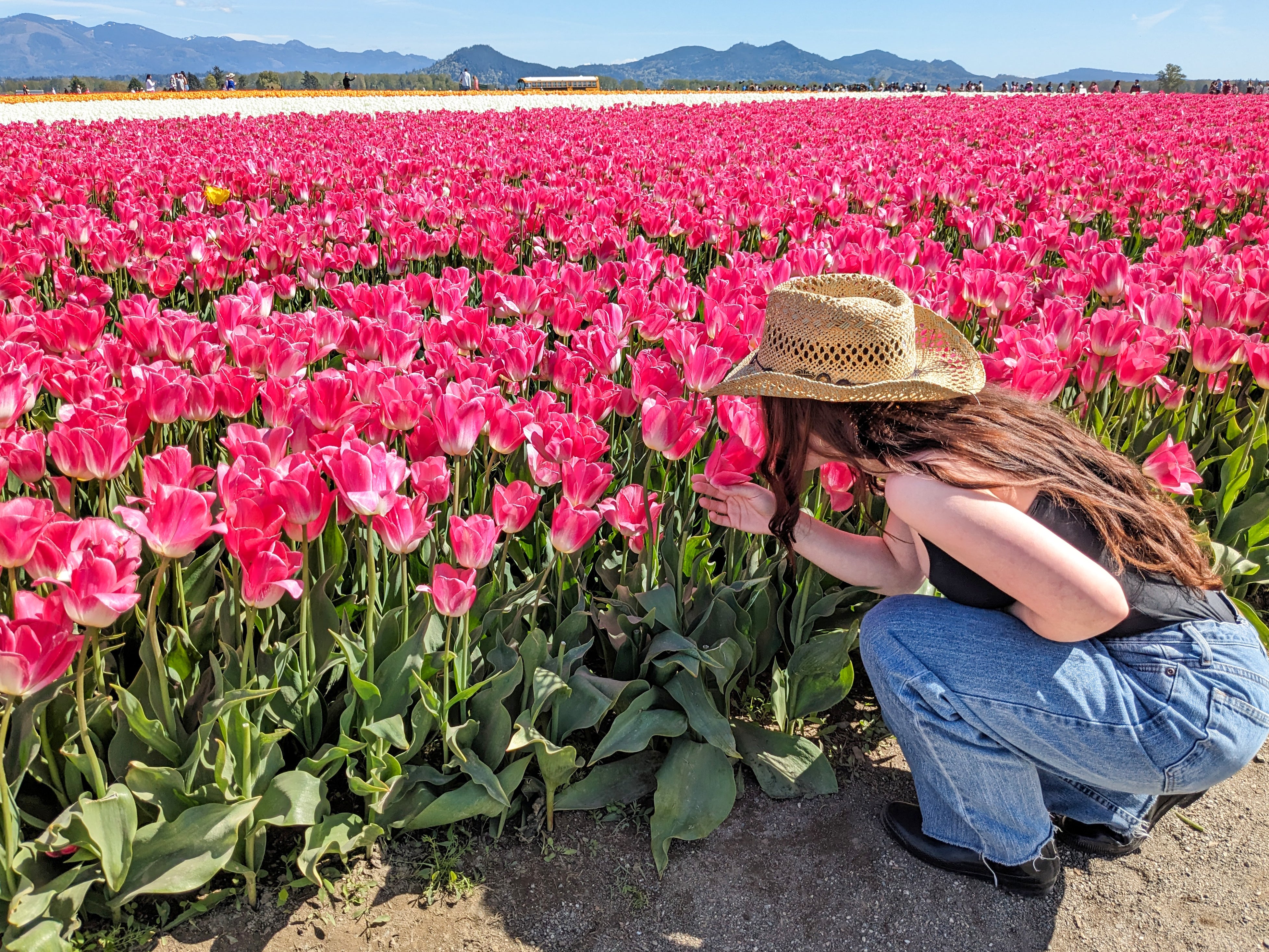 Summer hat near a field of tulips