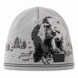 Big Bear